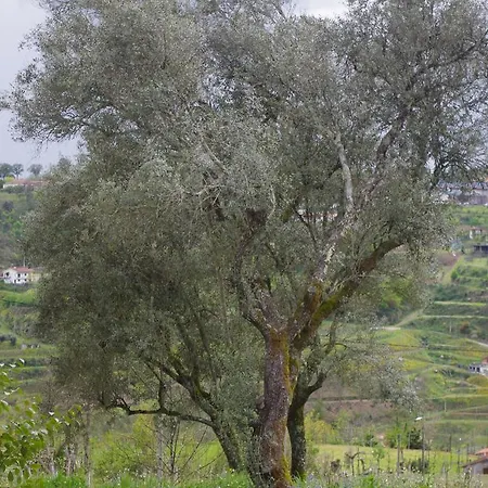 Vakantiehuis Casa Dos Tios