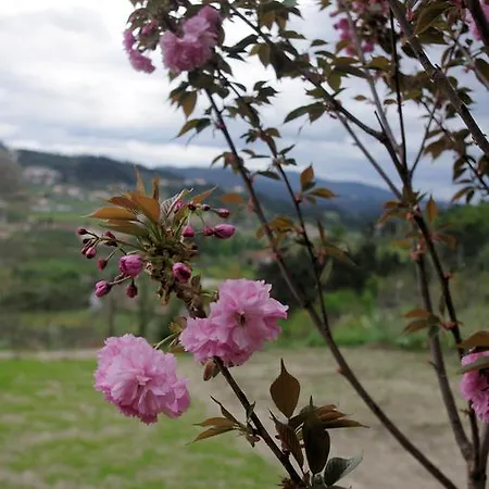 Vakantiehuis Casa Dos Tios Lufrei
