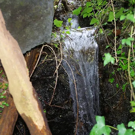 Сasa de vacaciones Casa Dos Tios *