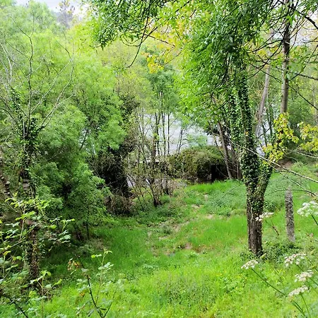 Сasa de vacaciones Casa Dos Tios Lufrei