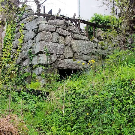 Vakantiehuis Casa Dos Tios *