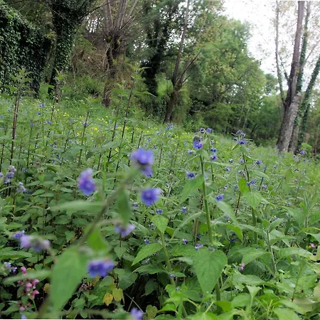 Сasa de vacaciones Casa Dos Tios