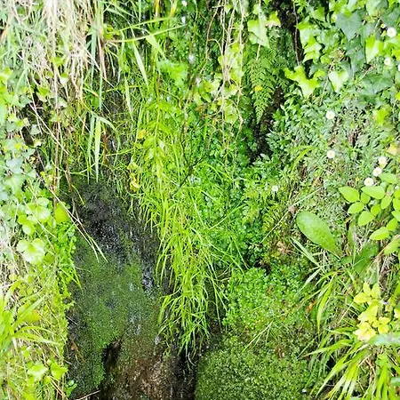 Сasa de vacaciones Casa Dos Tios *