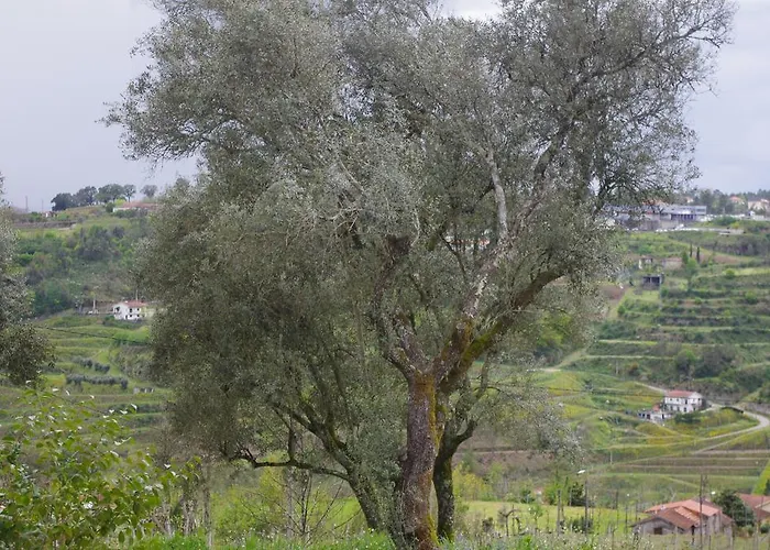 펜션 Casa Dos Tios