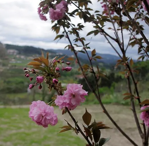 펜션 Casa Dos Tios Lufrei