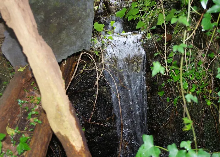 펜션 Casa Dos Tios *