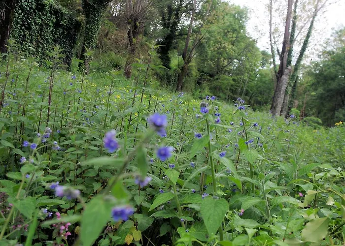 펜션 Casa Dos Tios